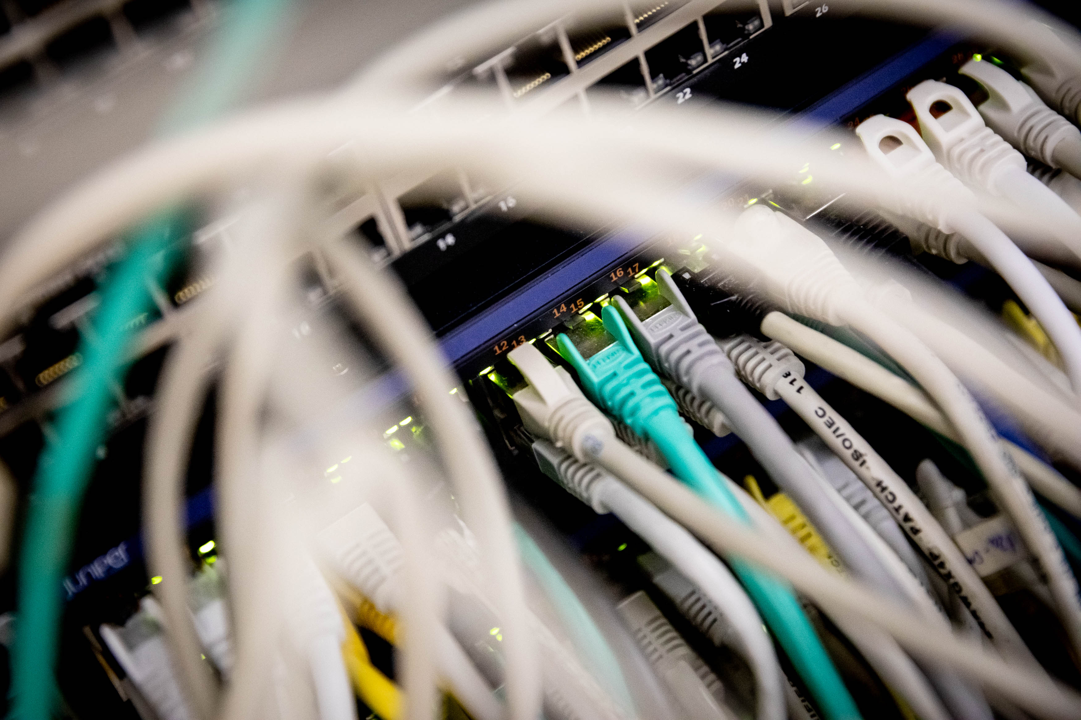 Das Foto zeigt zahlreiche Kabel, die in einem Server stecken